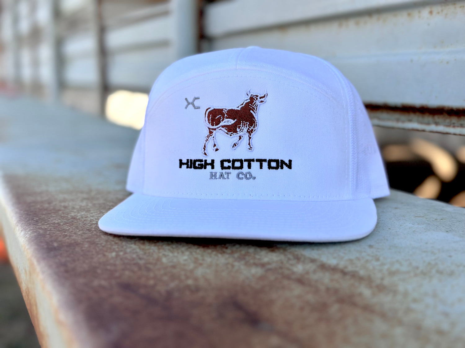 HC Cattle