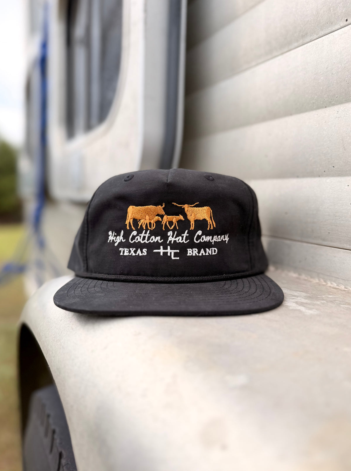 Cattle Herd