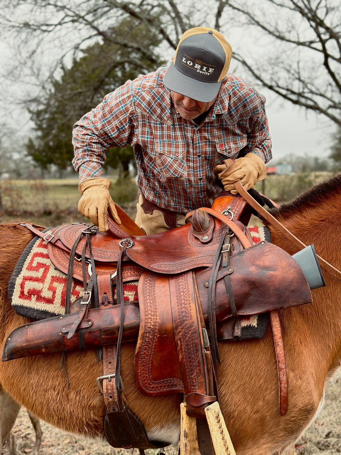 Lorie Darlin’